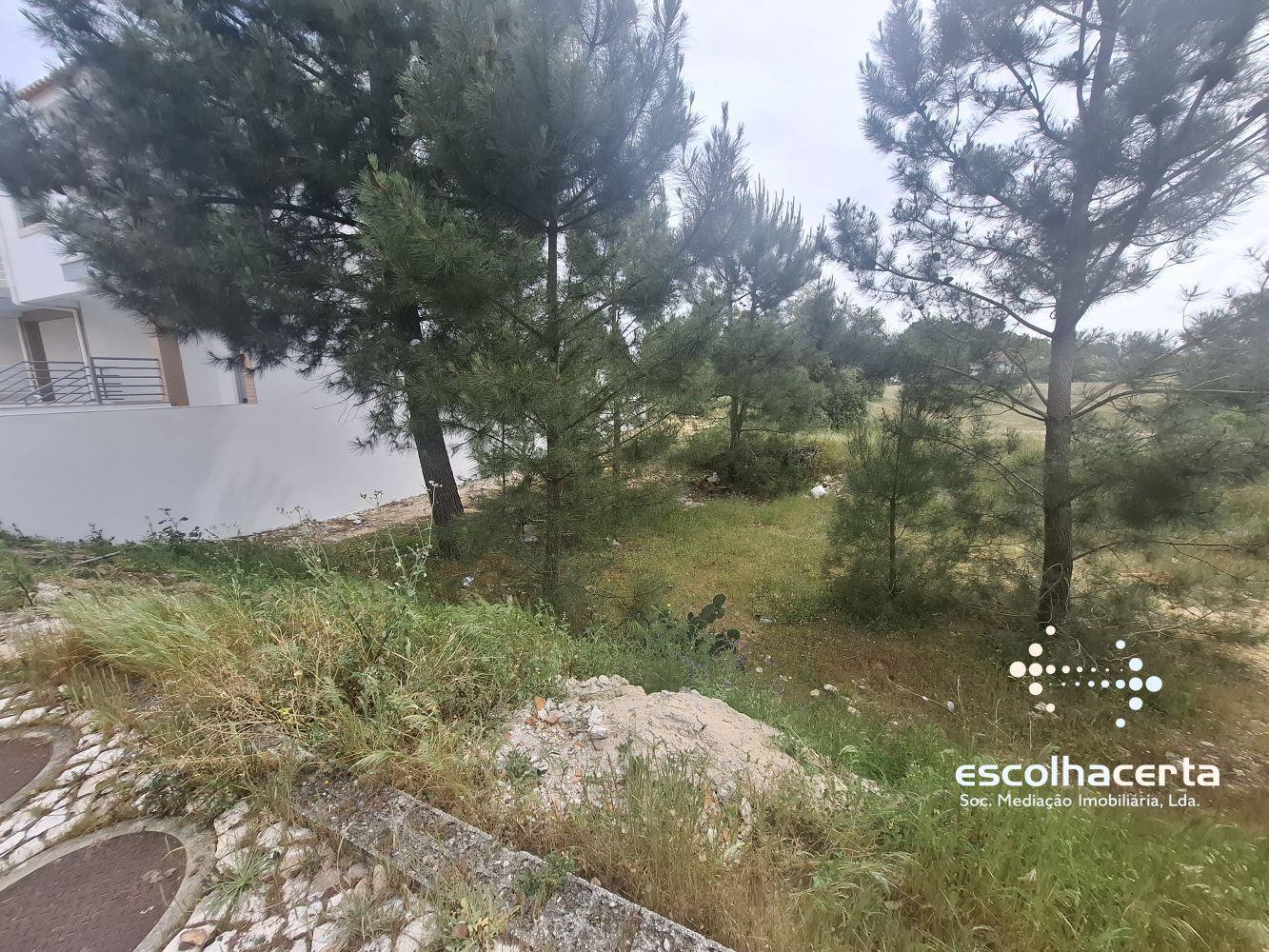 Lote de terreno